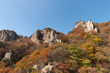 Chunbuk Wanju's foliage spot Daedun mountain climbing