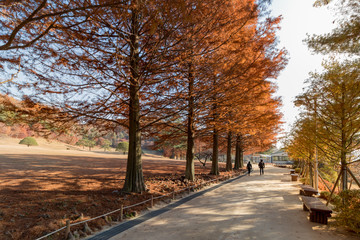 Cheongnamdae, the presidential villa that became Cheongju tourist attraction