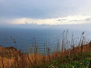Sea and autumn grass field with cloud