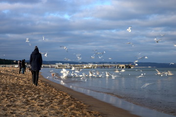 Ludzie ubrani w ciepłe kurtki w chłodny słoneczny dzień spacerują po nadmorskiej plaży, na wodzie i nad nią dużo mew i rybitw, na niebie niskie jesienne chmury