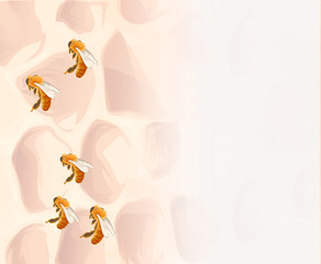 Vector Wasp, insect vector, color drawing. Wildlife illustration