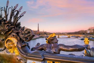 Foto op Plexiglas De Alexander III-brug over de rivier de Seine in Parijs © f11photo