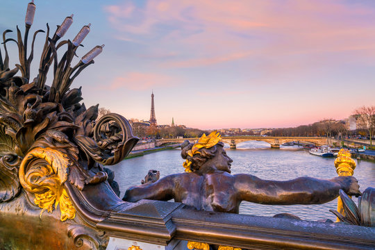 Fototapeta The Alexander III Bridge across Seine river in Paris