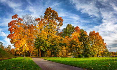 Naklejka premium Colorful autumn park in sunny bright day. Beautiful autumn landscape with yellow and red trees. Scenery colored nature.