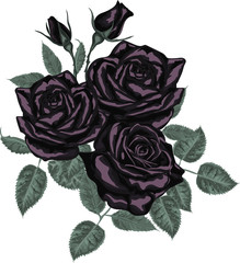 Bouquet with black roses and leaves.