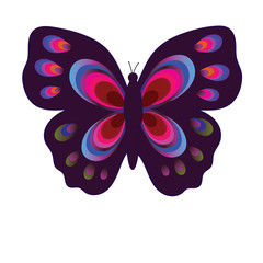Flat vector image of a butterfly. Beautiful butterfly isolated on white background. Illustration for designer - 184445223