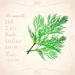 Sprig of dill in vintage style