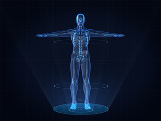Hologram Human anatomy and  skeleton,3D rendering
