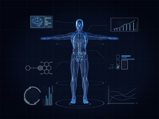 Hologram Human anatomy and  skeleton,3D rendering