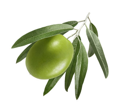 Single green olive with leaves isolated