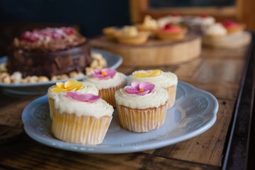 Close up of cupcakes served in plate