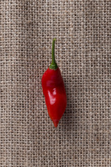Pimenta dedo-de-moça