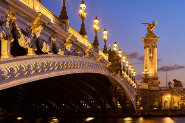 Close-up of Pont Alexandre III Bridge and illuminated lamp posts at sunset. 7th Arrondissement, Paris, France