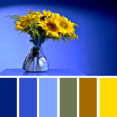 Color matching palette with complimentary colour swatches. Sunflower vase on a table on a blue...