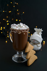 Hot chocolate with marshmallows and biscuits.