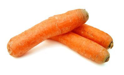 carrot on white background