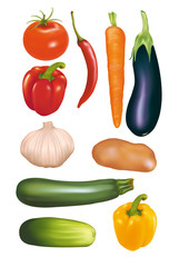 fresh vegetables isolated vectors