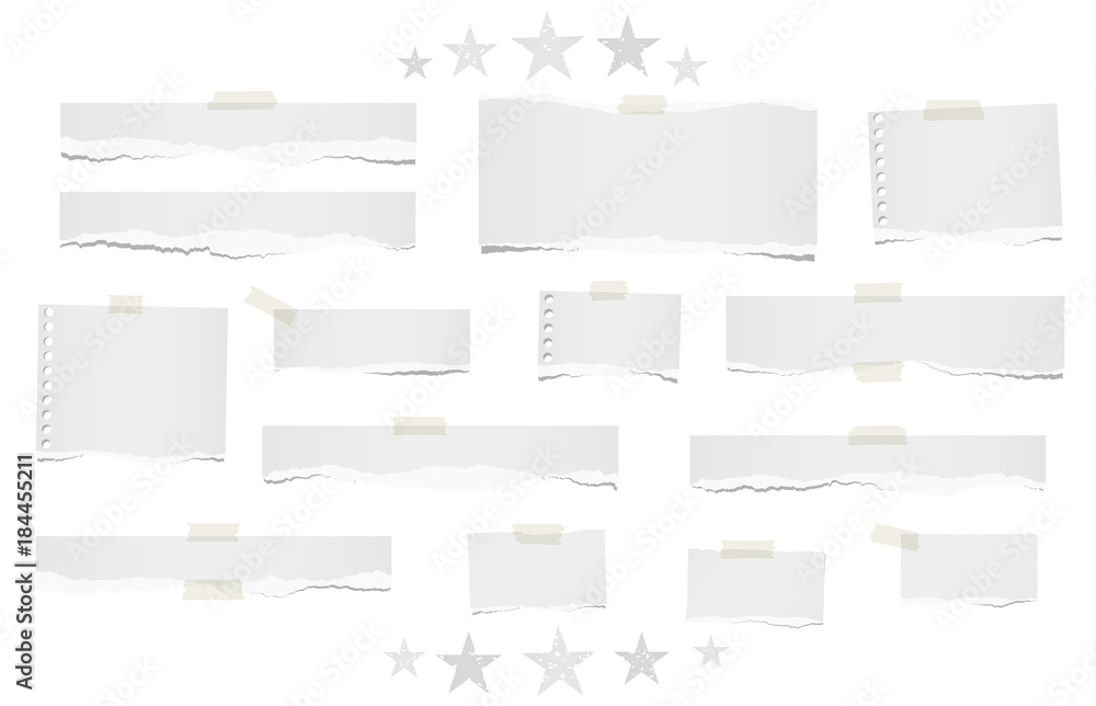 Poster ripped lined and blank note, notebook paper strips for text or message stuck with sticky tape on whi