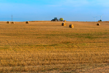 Fototapeta na wymiar twisted hay in the field, bundles of hay, fields with twisted haystacks
