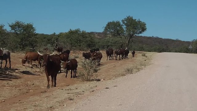 Namibia -Fahrt von Opuwo durch das Kaokofeld nach Sesfontein