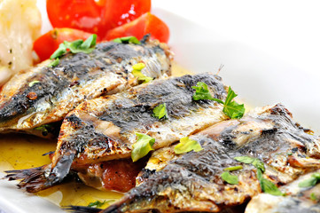 Greek Married Sardines