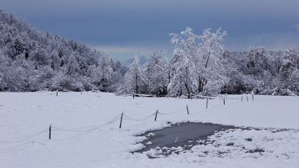 Winter landscape background with lake, ice and snow, Planina, Slovenia, christmas background for christmas cards