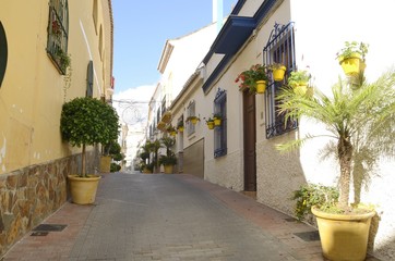 Fototapeta na wymiar Yellow plants pots at street in Estepona, Andalusia, Spain
