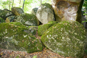 dolmen ruins covered by moss in a forest