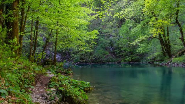 Landscape time lapse of beautiful and crystal clear spring of the river Kupa, Croatia