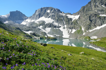 Fototapeta na wymiar Россия, Западный Кавказ, высокогорное Имеретинское озеро летом. Заросли луговой герани