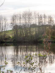 gamekeeper's pond winter autumn trees sunlight lake bare branches landscape
