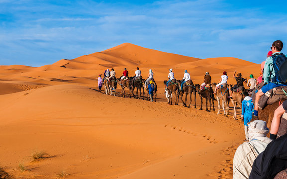 Karawane in den D&uuml;nen der Sahara bei Merzouga (Erg Chebbi); Marokko