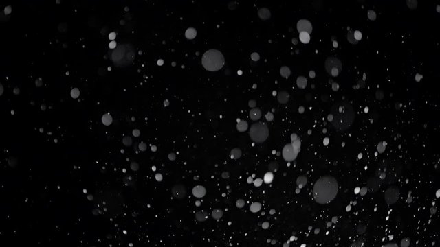 Several snow particles falling down over a black background that you can use as an overlay to add on top of your videos by changing the blending mode. Perfect for your holiday projects.