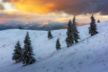 Poster Im Rahmen Fantastic orange winter landscape in snowy mountains glowing by sunlight. Dramatic wintry scene with snowy trees. Christmas holiday concept. Carpathians mountain, Ukraine, Europe © Ivan Kmit