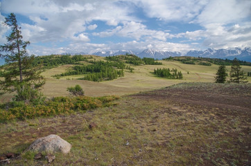 Natures beauty. Summer landscape. Open spaces of Altai. Nature and travel. Russia, Siberia