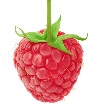 Ripe raspberry with green leaf isolated on white background with clipping path
