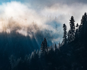 Idaho Panhandle National Forest