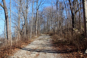 The gravel trail on a sunny autumn day. 