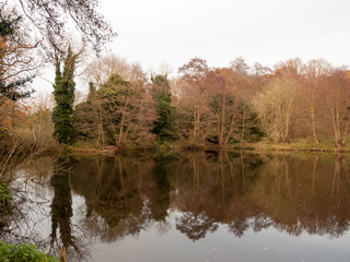 Fototapeta na wymiar gamekeeper's pond winter autumn trees sunlight lake bare branches landscape