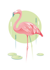 Flamingo Soul