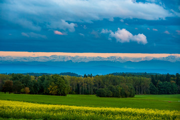 Alps from the Black Forest