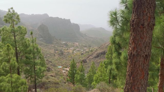 Mountains with cactus agava and canary pines. View from viewing point in centre of Gran Canaria