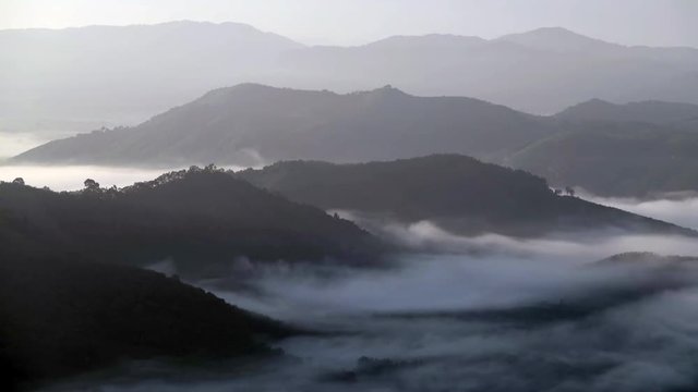 4K timelapse of the mist and clouds in forrest and mountain