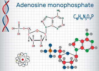 Adenosine monophosphate (AMP) molecule, it is an ester of phosphoric acid and the nucleoside adenosine,  monomer in the production RNA . Sheet of paper in a cage.