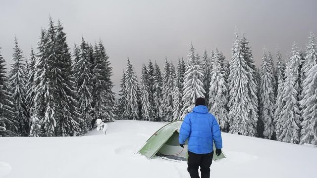 Green tent and tourist against the backdrop of snowy pine tree forest. Amazing winter landscape. Tourists camp in high mountains. Travel concept