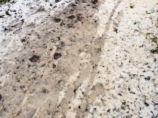 snow covered dirty forest path floor walkway outside texture