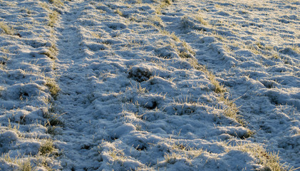 Tracks on snow covered field