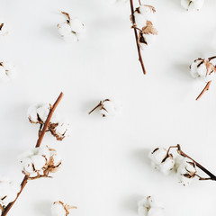 Cotton branches and buds on white background. Flat lay, top view.