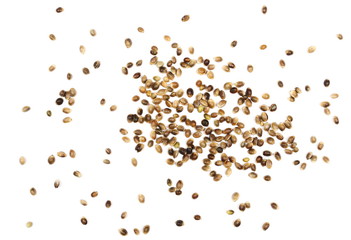 hemp seeds isolated on white background, top view