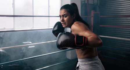 Female boxer training inside a boxing ring - obrazy, fototapety, plakaty